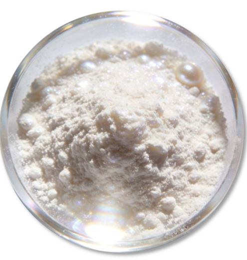 Snímek obrazovky 2026-03-09 110013